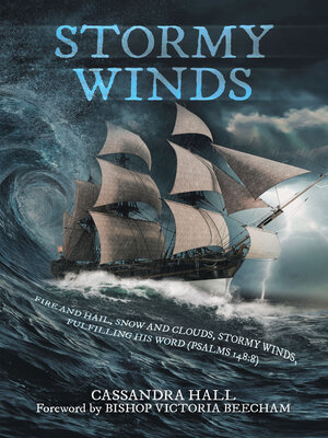 cover image of Stormy Winds